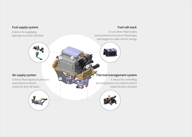 Fuel Cell Plate
