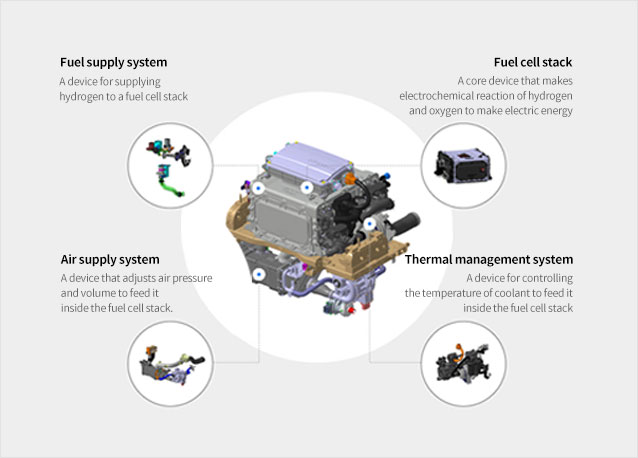 Fuel Cell Plate