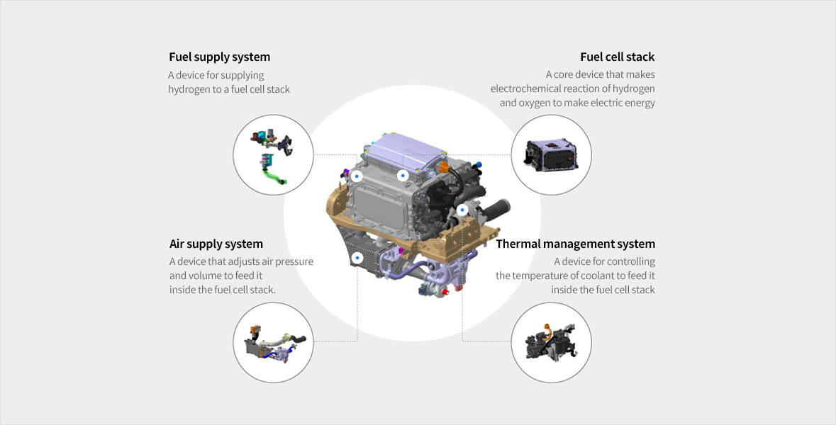 Fuel Cell Plate